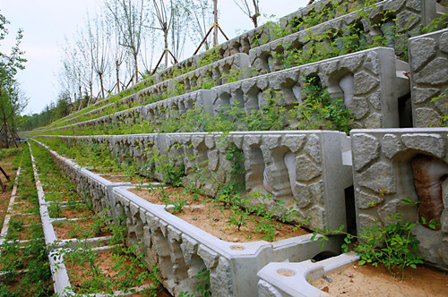 阶梯式生态框挡墙在河道生态治理工程的应用